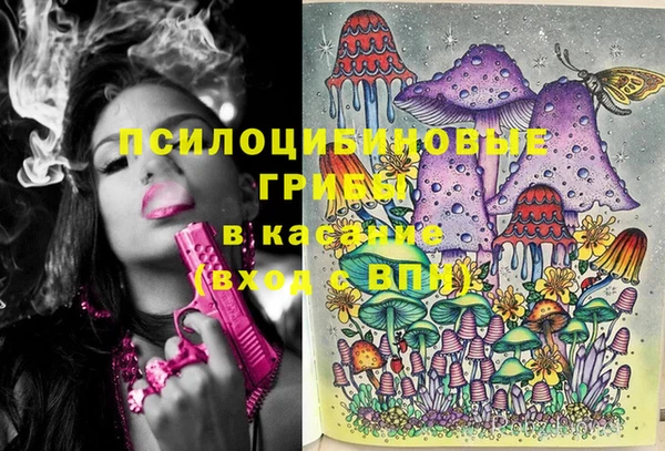 бутират Дмитровск