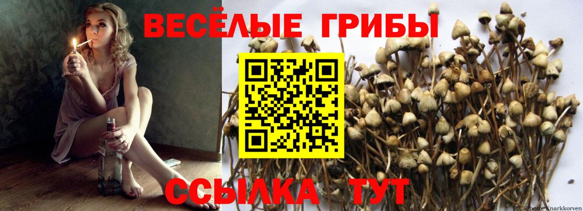 Псилоцибиновые грибы MAGIC MUSHROOMS Набережные Челны