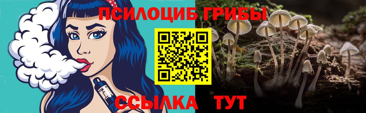 Набережные Челны  Псилоцибиновые грибы Psilocybine cubensis  Вход с VPN 